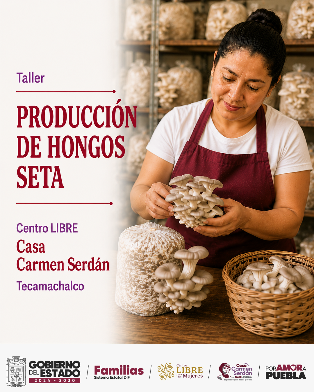 Producción de Hongos Seta